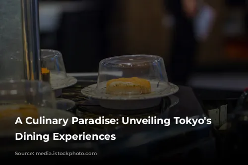 A Culinary Paradise: Unveiling Tokyo's Finest Dining Experiences