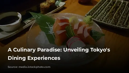 A Culinary Paradise: Unveiling Tokyo's Finest Dining Experiences