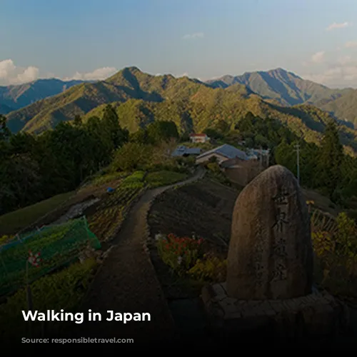 Walking in Japan