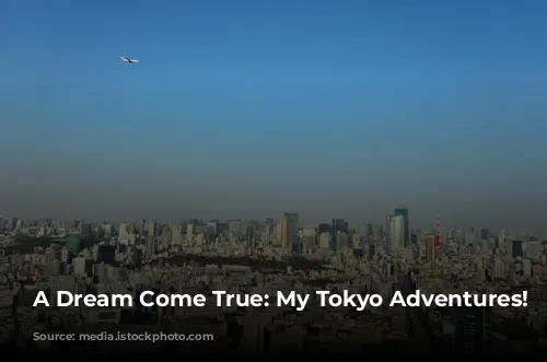 A Dream Come True: My Tokyo Adventures! ✨