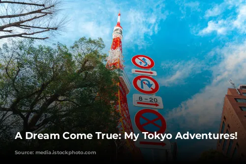 A Dream Come True: My Tokyo Adventures! ✨