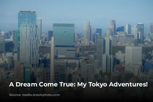 A Dream Come True: My Tokyo Adventures! ✨