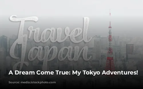 A Dream Come True: My Tokyo Adventures! ✨