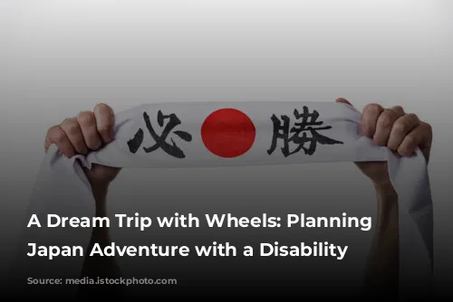 A Dream Trip with Wheels: Planning a Japan Adventure with a Disability