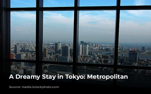 A Dreamy Stay in Tokyo: Metropolitan Marunochi