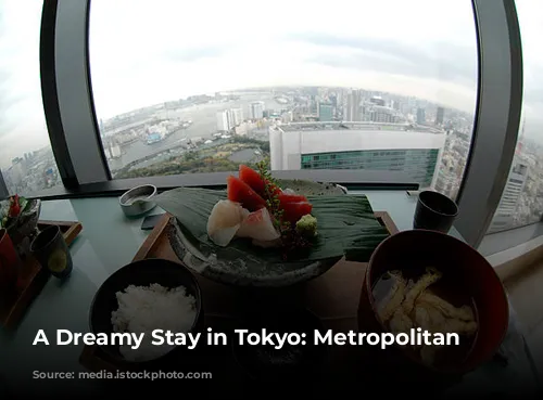 A Dreamy Stay in Tokyo: Metropolitan Marunochi