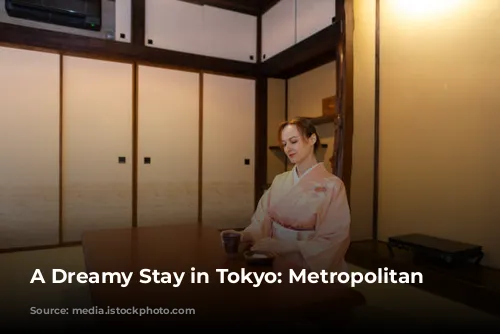 A Dreamy Stay in Tokyo: Metropolitan Marunochi