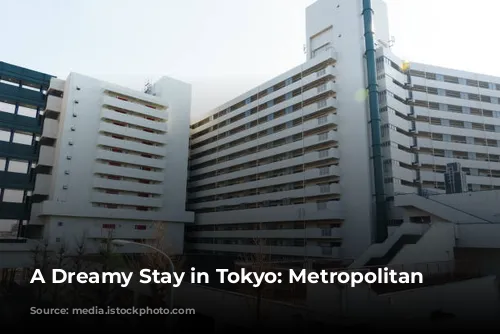 A Dreamy Stay in Tokyo: Metropolitan Marunochi