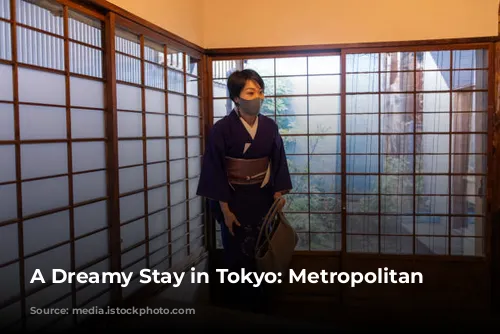 A Dreamy Stay in Tokyo: Metropolitan Marunochi