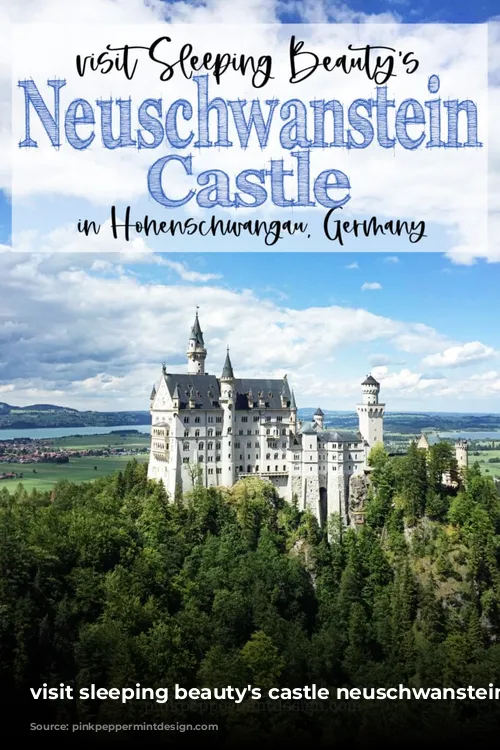 visit sleeping beauty's castle neuschwanstein castle