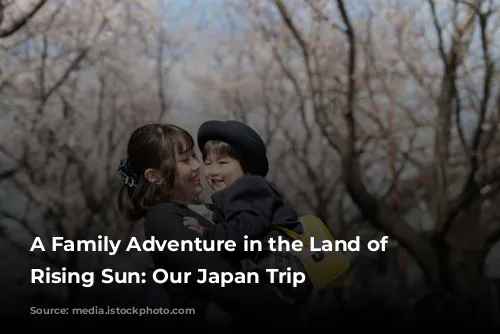 A Family Adventure in the Land of the Rising Sun: Our Japan Trip