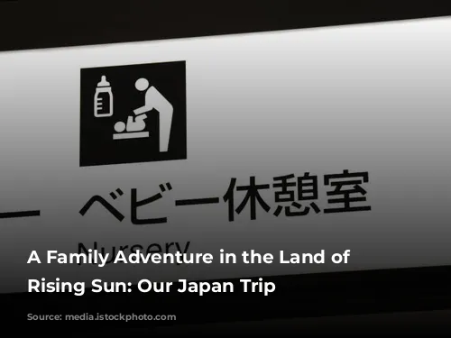 A Family Adventure in the Land of the Rising Sun: Our Japan Trip