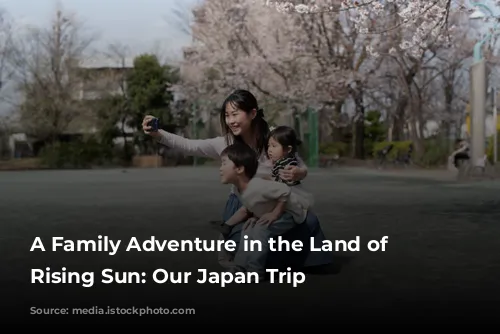 A Family Adventure in the Land of the Rising Sun: Our Japan Trip