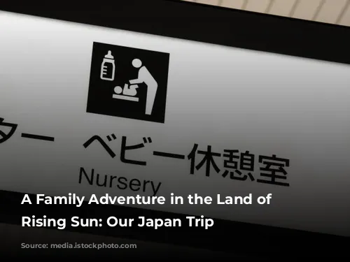 A Family Adventure in the Land of the Rising Sun: Our Japan Trip