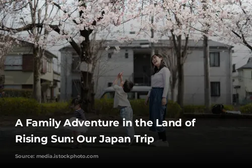 A Family Adventure in the Land of the Rising Sun: Our Japan Trip