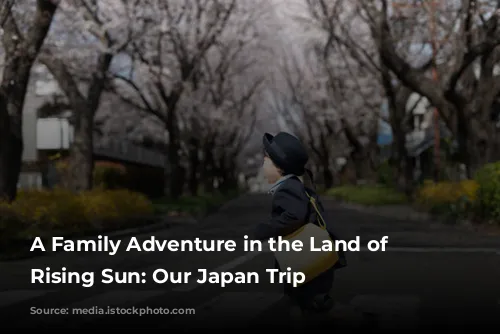 A Family Adventure in the Land of the Rising Sun: Our Japan Trip