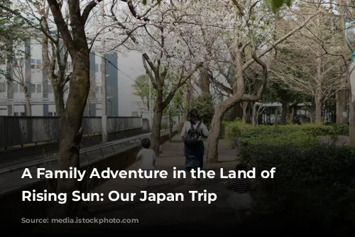 A Family Adventure in the Land of the Rising Sun: Our Japan Trip