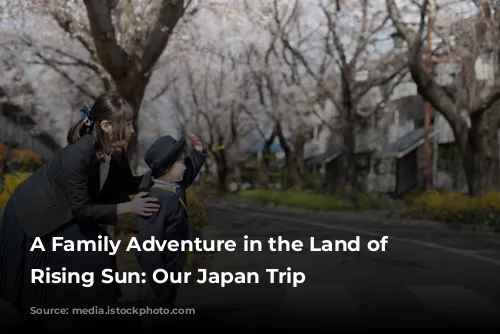 A Family Adventure in the Land of the Rising Sun: Our Japan Trip