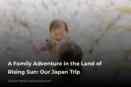 A Family Adventure in the Land of the Rising Sun: Our Japan Trip