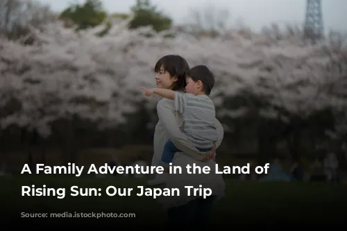 A Family Adventure in the Land of the Rising Sun: Our Japan Trip