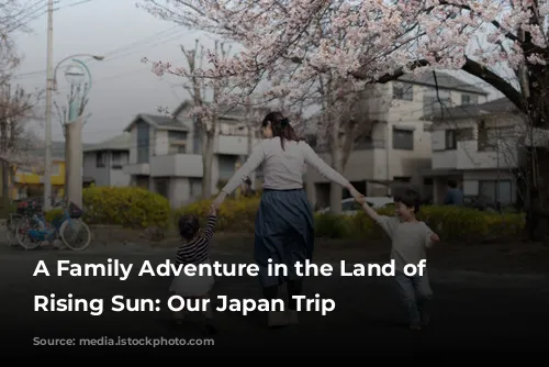 A Family Adventure in the Land of the Rising Sun: Our Japan Trip