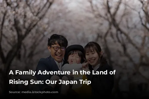 A Family Adventure in the Land of the Rising Sun: Our Japan Trip