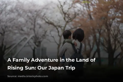 A Family Adventure in the Land of the Rising Sun: Our Japan Trip