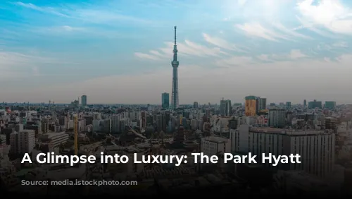 A Glimpse into Luxury: The Park Hyatt Tokyo