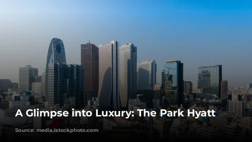 A Glimpse into Luxury: The Park Hyatt Tokyo