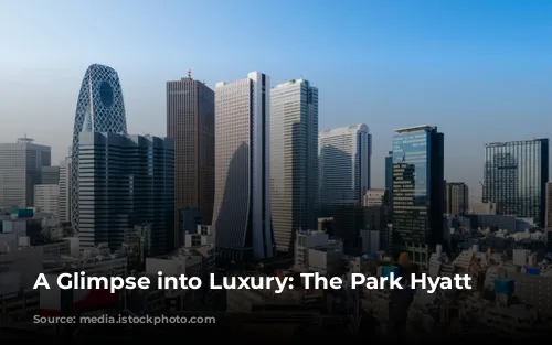 A Glimpse into Luxury: The Park Hyatt Tokyo