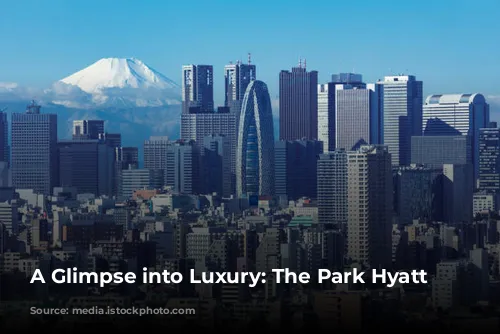 A Glimpse into Luxury: The Park Hyatt Tokyo