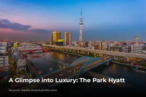 A Glimpse into Luxury: The Park Hyatt Tokyo