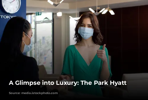 A Glimpse into Luxury: The Park Hyatt Tokyo