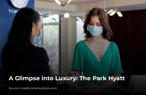 A Glimpse into Luxury: The Park Hyatt Tokyo