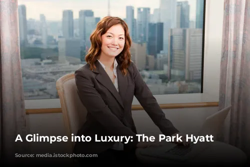 A Glimpse into Luxury: The Park Hyatt Tokyo