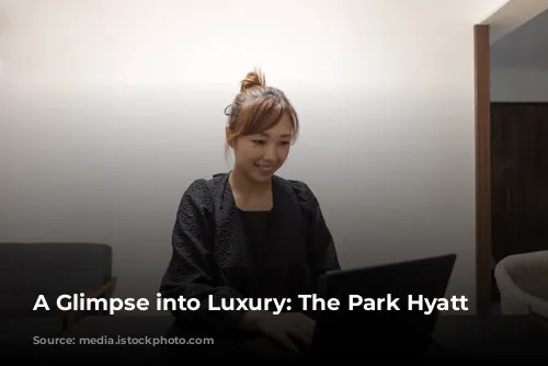 A Glimpse into Luxury: The Park Hyatt Tokyo