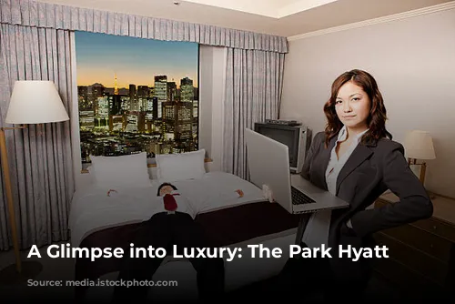 A Glimpse into Luxury: The Park Hyatt Tokyo