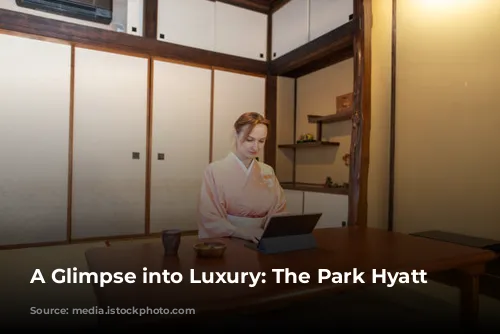 A Glimpse into Luxury: The Park Hyatt Tokyo