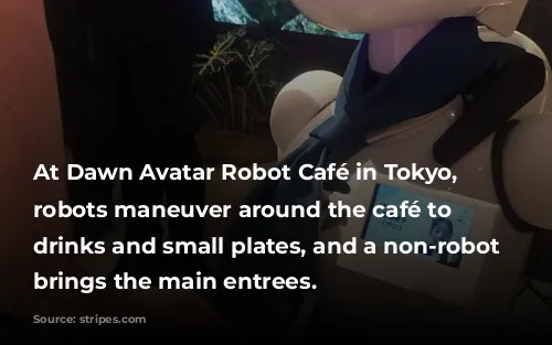 At Dawn Avatar Robot Café in Tokyo, taller robots maneuver around the café to serve drinks and small plates, and a non-robot waiter brings the main entrees.