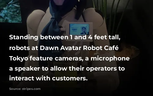 Standing between 1 and 4 feet tall, the robots at Dawn Avatar Robot Café in Tokyo feature cameras, a microphone and a speaker to allow their operators to remotely interact with customers.   