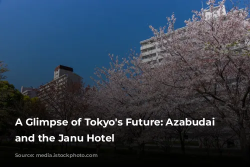 A Glimpse of Tokyo's Future: Azabudai Hills and the Janu Hotel