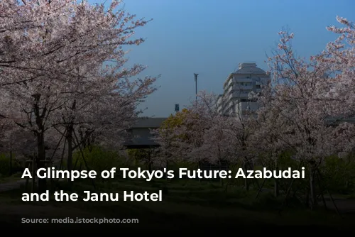 A Glimpse of Tokyo's Future: Azabudai Hills and the Janu Hotel