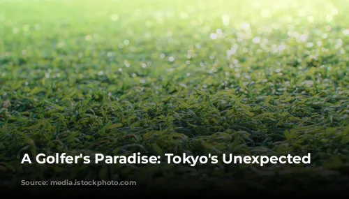 A Golfer's Paradise: Tokyo's Unexpected Charm