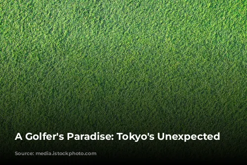 A Golfer's Paradise: Tokyo's Unexpected Charm