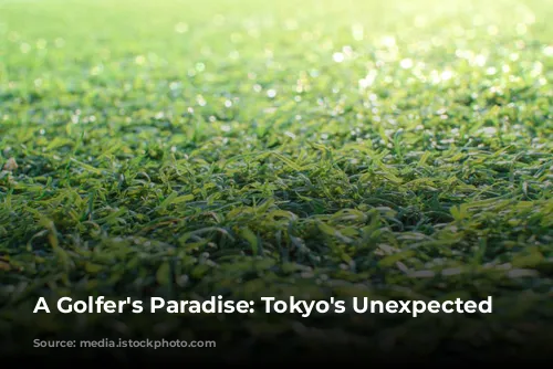 A Golfer's Paradise: Tokyo's Unexpected Charm