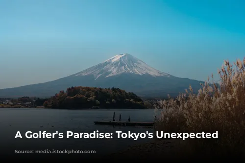 A Golfer's Paradise: Tokyo's Unexpected Charm