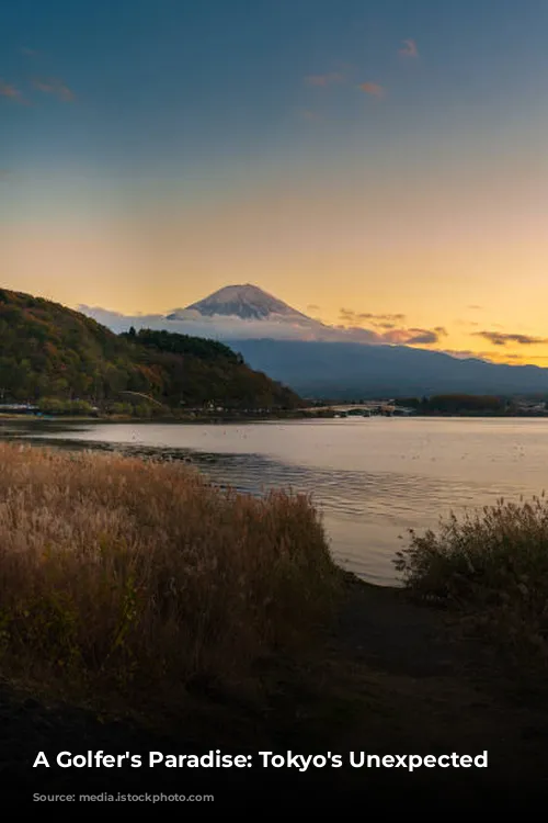 A Golfer's Paradise: Tokyo's Unexpected Charm