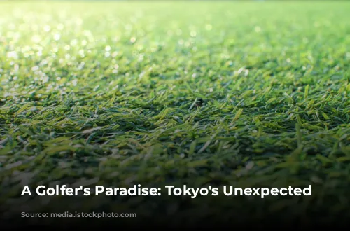 A Golfer's Paradise: Tokyo's Unexpected Charm