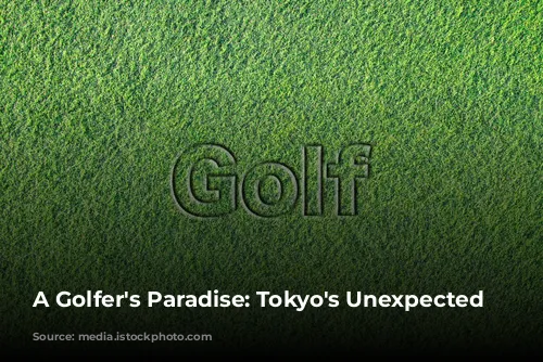 A Golfer's Paradise: Tokyo's Unexpected Charm