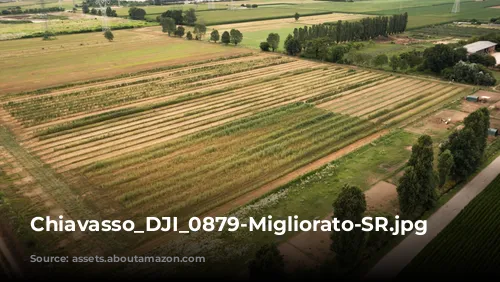 Chiavasso_DJI_0879-Migliorato-SR.jpg 